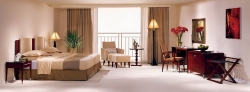 Modern standard double room